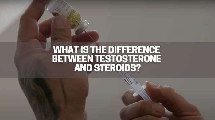 Is testosterone a steroid hormone