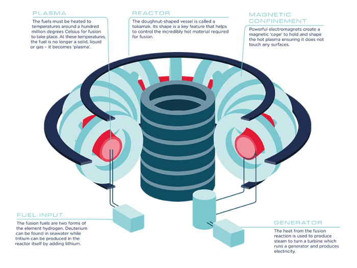 Fusion reactor mekanism