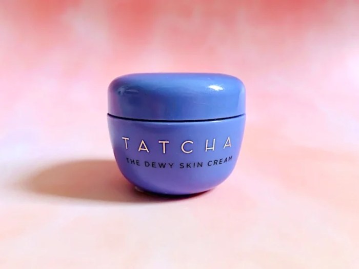 Tatcha dewy skin cream dupes