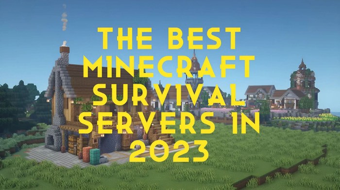 Hosting Events and Competitions on 3D Minecraft Servers